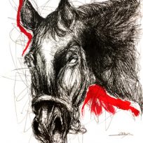 Aoi Matsuoka　イラスト作品　馬　ペン画